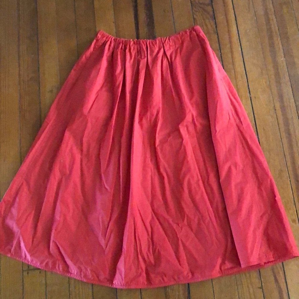 Everlane Skirt